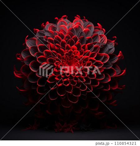 Red Flower on Black Background Red Flower on Black Background 110854321