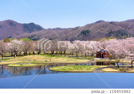 国営みちのく杜の湖畔公園（宮城県川崎町） 110855982