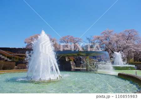 国営みちのく杜の湖畔公園(宮城県川崎町) 国営みちのく杜の湖畔公園(宮城県川崎町) 110855983