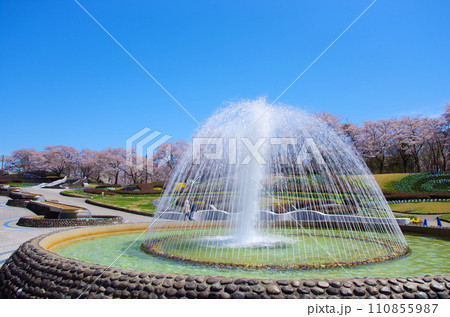 国営みちのく杜の湖畔公園(宮城県川崎町) 国営みちのく杜の湖畔公園(宮城県川崎町) 110855987