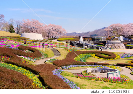 国営みちのく杜の湖畔公園（宮城県川崎町） 110855988