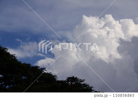 サンパウロ州の夏の雲と青空 ブラジル サンパウロ州の夏の雲と青空 ブラジル 110856865