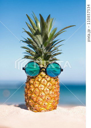 Two pineapples with trendy sunglasses in tropical paradise 110857534