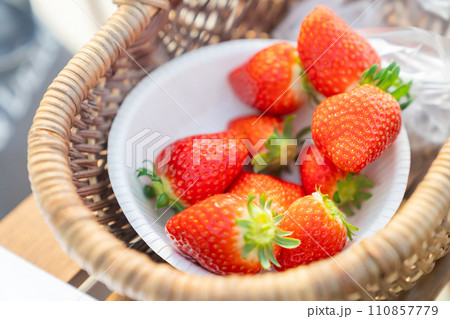 いちご狩り、イチゴ狩り、苺狩り、果物狩り、フルーツ狩り 110857779