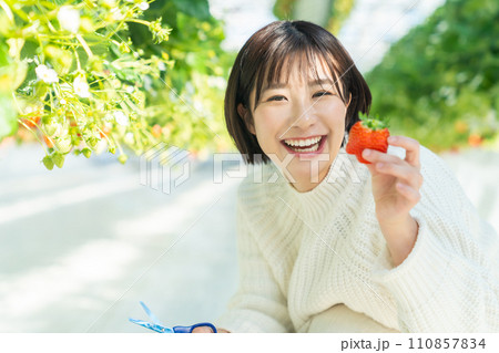 イチゴ狩りをする女性 いちご狩りをする女性 イチゴ狩りをする女性 いちご狩りをする女性 110857834