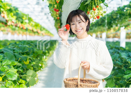イチゴ狩りをする女性　いちご狩りをする女性 110857838