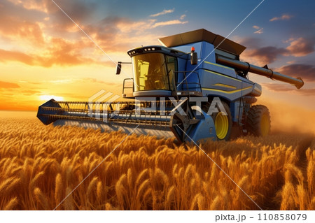 Combine in wheat field harvesting wheat at sunset 110858079