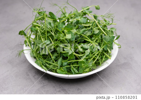 Vegan and healthy eating concept. Sprouted peas seeds micro greens. 110858201