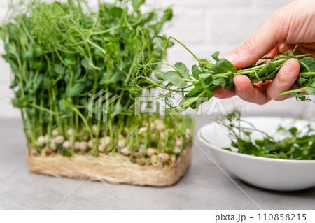 This image captures the essence of gardening and sustainable lifestyles. This image captures the essence of gardening and sustainable lifestyles. 110858215