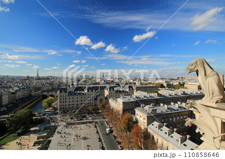 ガーゴイルと一緒にノートルダム大聖堂から眺めるパリの街並みと青空（フランス パリ） 110858646