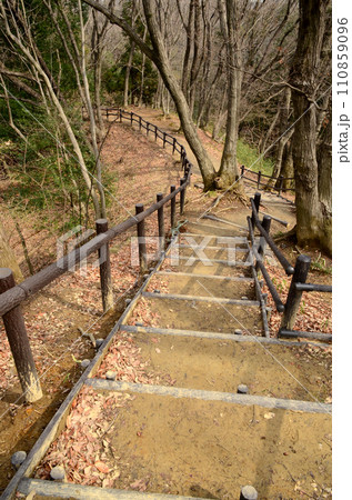 里山の遊歩道 里山の遊歩道 110859096