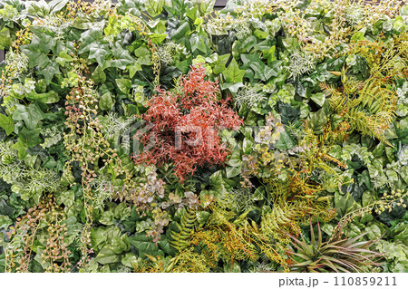 ウォールグリーン 110859211