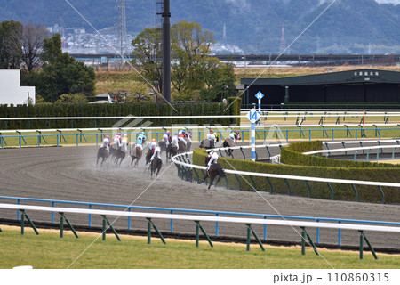 京都競馬場ダート1コーナーと誘導馬 京都競馬場ダート1コーナーと誘導馬 110860315
