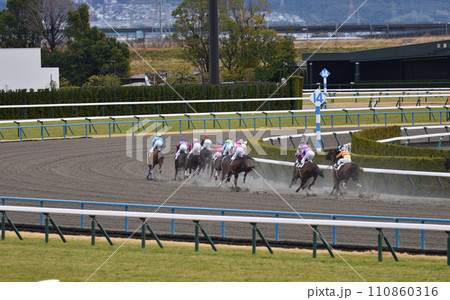 京都競馬場ダート1コーナーと誘導馬 110860316