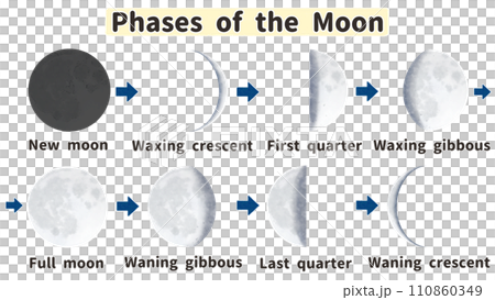 月の満ち欠けとその名称　英語図解イラスト 110860349