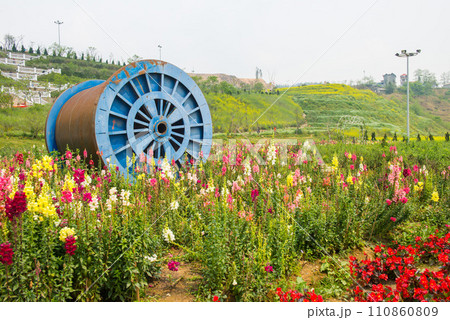 The flowers garden on Muong Hoa mountain in Sa Pa the capital city in Lao Cai province in north-west of Vietnam. 110860809