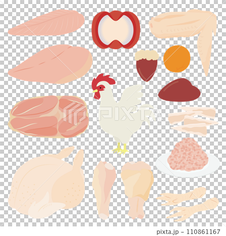 Illustration of chicken 110861167