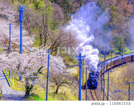 桜と蒸気機関車 110861558