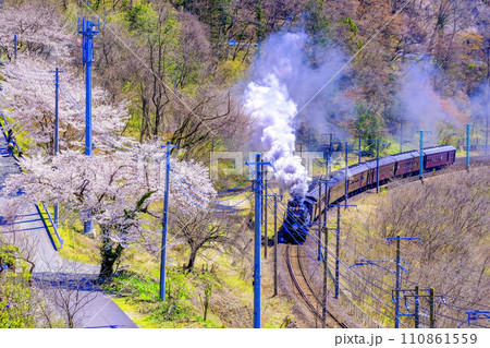 桜咲く山間部を走る蒸気機関車 桜咲く山間部を走る蒸気機関車 110861559