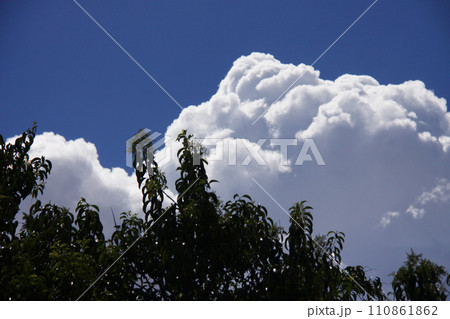 サンパウロの夏の雲と青空 ブラジル サンパウロの夏の雲と青空 ブラジル 110861862