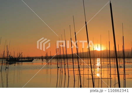 夕日に茜色に染まる有明海の海苔養殖場の美しい夕景 110862341