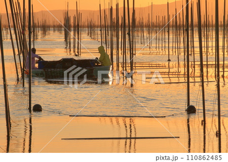 夕焼けの有明海の海苔養殖場で作業をする海苔師 110862485
