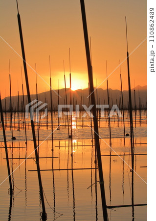 海苔養殖の網が茜色に染まる夕暮れ時の有明海の景色 110862489