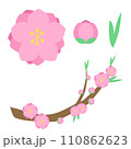 桃の花のセット 110862623