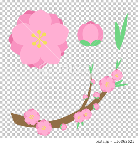 peach blossom set 110862623