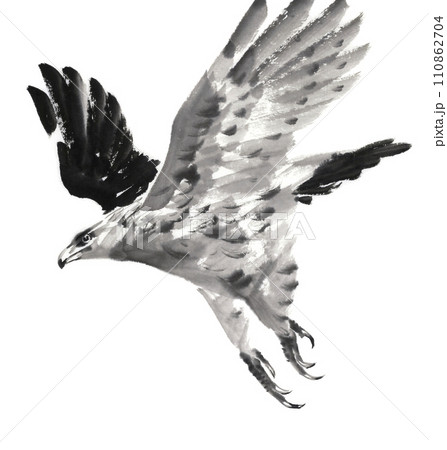 空を飛ぶ鷹 水墨画のイラスト素材 [110862704] - PIXTA