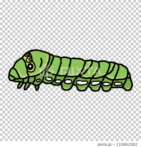 燕尾幼蟲 110862882