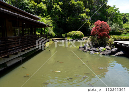 西山御殿(西山荘) 2023-5-3 #89 西山御殿(西山荘) 2023-5-3 #89 110863365