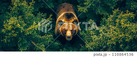 AI-generated content. Majestic grizzly in the green embrace of the forest. 110864536