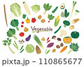 いろいろな野菜のイラストセット 110865677