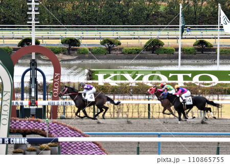 京都競馬場ダートGOAL前 110865755