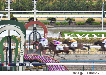 京都競馬場ダートGOAL前 京都競馬場ダートGOAL前 110865757