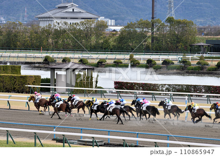 京都競馬場スタンド前の攻防 京都競馬場スタンド前の攻防 110865947