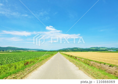 北海道 夏の青空と十勝平野の風景 北海道 夏の青空と十勝平野の風景 110866069