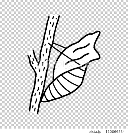 アゲハチョウの蛹・線画 アゲハチョウの蛹・線画 110866284
