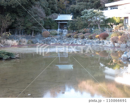 鎌倉市の霊光寺にある田辺ヶ池 110866691