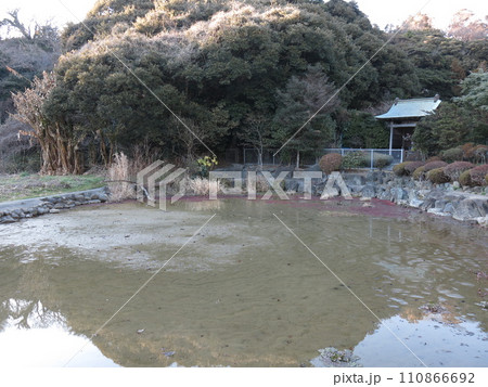 鎌倉市の霊光寺にある田辺ヶ池 鎌倉市の霊光寺にある田辺ヶ池 110866692