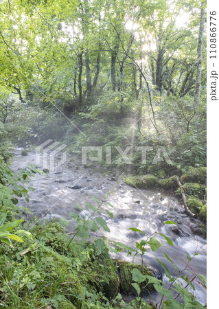 新緑・清流エコイメージ　大山木谷沢渓流 110866776