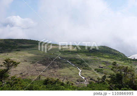 白山室堂から見る弥陀ヶ原 110866995