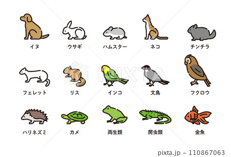 ペット　アイコン　動物 110867063