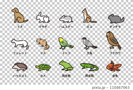 ペット　アイコン　動物 110867063