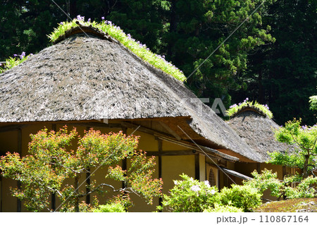 西山御殿(西山荘）　2023-5-3　＃93 110867164
