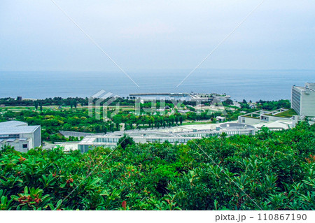 淡路夢舞台 俯瞰 兵庫県淡路島 初夏 安藤忠雄設計 淡路夢舞台 俯瞰 兵庫県淡路島 初夏 安藤忠雄設計 110867190