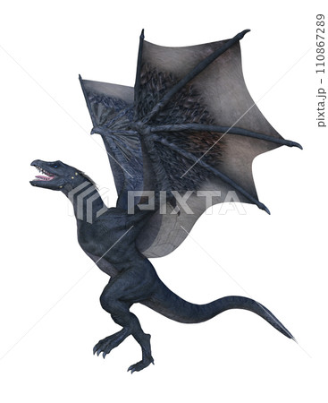 ドラゴン ドラゴン 110867289