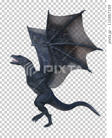 ドラゴン ドラゴン 110867289