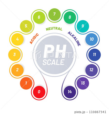 PH scale of food acid balance, chart with indicators of acidic, neutral and alkaline values, vector test. Food and water chemical, analysis scale of PH with spectrum colors table for acidity balance 110867341